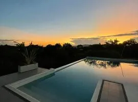 Torcaza Casa de Campo