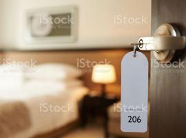 Hotel Vicuña，位于维库尼亚的酒店