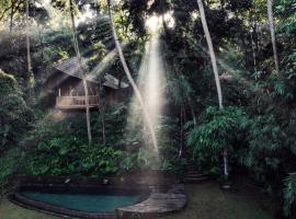 Bamboo Turtles Ecolodge，位于乌布的酒店