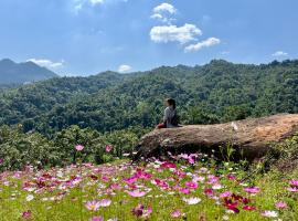 Mường sang farmstay，位于木州县的豪华帐篷营地