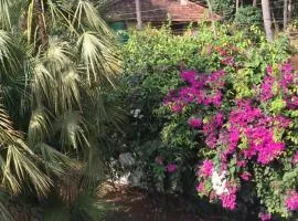 1 BHK Luxury Beachside Homestay in South Goa