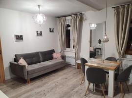 Apartament Kominkowy przy Parku，位于波乌琴-兹德鲁伊的酒店