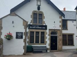 The Black Horse Inn，位于塞特尔的宠物友好酒店
