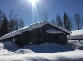 StugaNäraKungsberget - mysig stuga med kamin, grillkåta och vedbastu