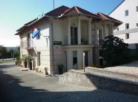Luxury Villa Heviz