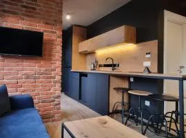 Apartman WINTER