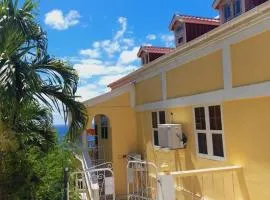 Air Conditioned House With Ocean And Garden View