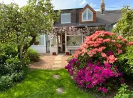 The Nest - Cosy Holiday Cottage