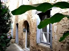 LE MOULIN A VENT maison plein centre de SARLAT