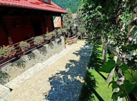 Old Mark's House Sinaia，位于锡纳亚的乡村别墅