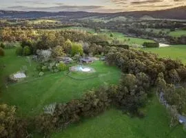 Kangaroo Manor