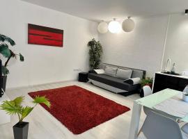 Apartament in centrul Clujului，位于克卢日-纳波卡的酒店