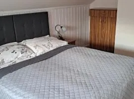 Domek całoroczny Nad Stawem