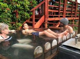 Loft Canelo - con hot tub exclusivo, cercano a termas y lago，位于柯纳里佩的酒店
