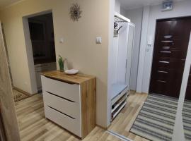 Klimatyczne mieszkanie，位于哈伊努夫卡的公寓