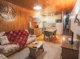 Appartement au pied des pistes，位于圣雷热雷梅累兹的酒店