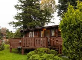 Mountain View Log Cabin in Snowdonia nr Coed y Brenin