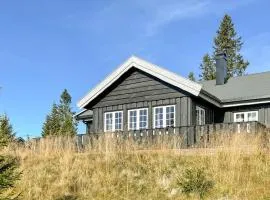 Pet Friendly Home In Sjusjen With Sauna