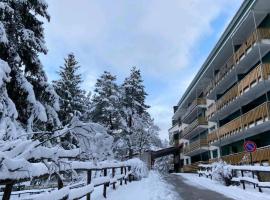 Appartamento in Residence - Parco Nazionale d'Abruzzo，位于佩斯卡塞罗利的酒店