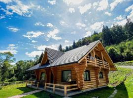 Wild tree house，位于Vărşag的酒店