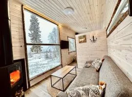 Unique Cabin with Breathtaking Northern Light View