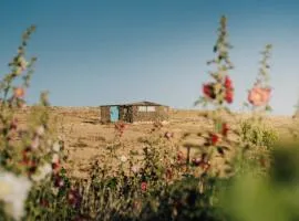 萨卡沙漠旅舍
