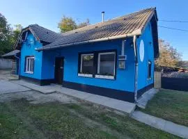 Het Blauwe Salamander Huis