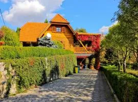 Holiday Home Grga with Jacuzzi and Swimming Pool