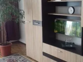 Apartament 2 camere Blaj Str Avram Iancu Bl 9