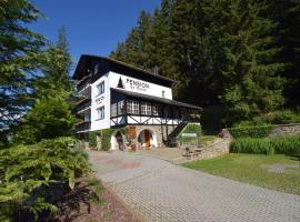 Pension St. Moritz，位于泽勒兹纳·鲁达塔特拉普玛S缆车附近的酒店