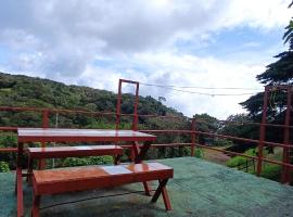 Monteverde Monkey Hostel，位于蒙泰韦尔德哥斯达黎加的酒店