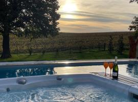 Best view, pool and spa on the Champagne vineyard，位于Saint-Thierry的公寓