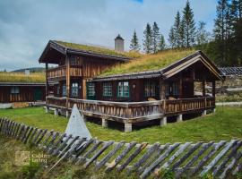 Grand cabin Nesfjellet lovely view Jacuzzi sauna，位于Nes的酒店