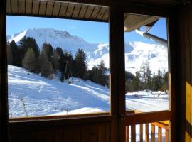 Appt Plagne Village skis aux pieds - LES HAMEAUX 2，位于普拉涅村大道缆车附近的酒店