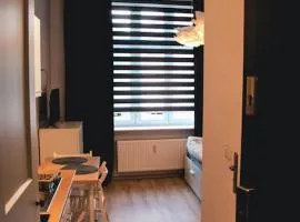 *Apartamenty Kattowitz 12