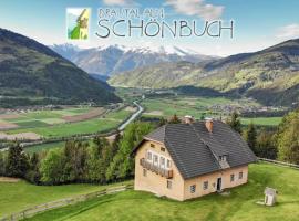 Drautal Alm Schönbuch，位于Steinfeld的酒店