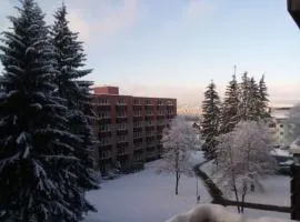 FeWo Eisblume. Erholung im wunderschönem Harz!