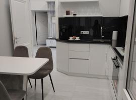 Apartament Vip Chirie，位于基希讷乌Staţiade Cale Ferată Străşeni附近的酒店