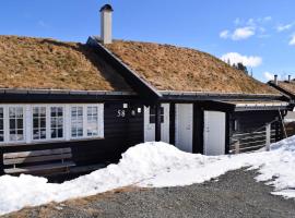 Cozy Home In Rjukan With House A Mountain View，位于尤坎的乡村别墅