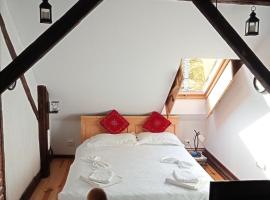 Residence Gölsch 161，位于Sînpetru的酒店