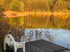 Domwigierski pl -Tobołowo GR -nad samym brzegiem jeziora z sauną- klimatyzacja，位于Tobołowo的酒店