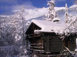 Hütte/ Chalet MAZOT ein umgebauter alter Kornspeicher，位于韦尔比耶的酒店