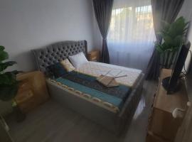 Breaza Comfort Apartment，位于布雷亚扎的酒店