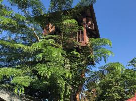 Mae Chan Treehouse with swimming pool，位于湄善的酒店