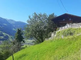 Alpine cottage with exceptional view