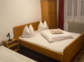 Vila Apuseni，位于阿列谢尼的酒店