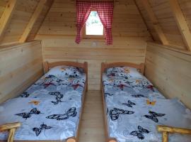 Rural Tourism/Ruralni Turizam Kisin，位于特雷比涅的酒店