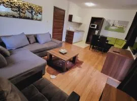 Kamzik Apartment hill view with garage