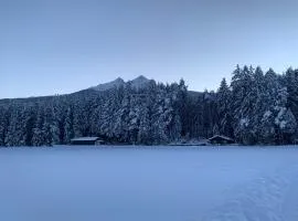 Waldchalet am Eichhof