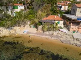 Agave direclty on the beach - Goelba
